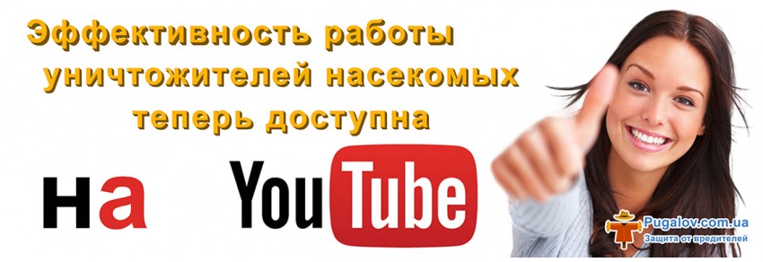 Отзывы на уничтожители насекомых на YouTube