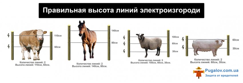 Правильная высота линий для электроизгороди